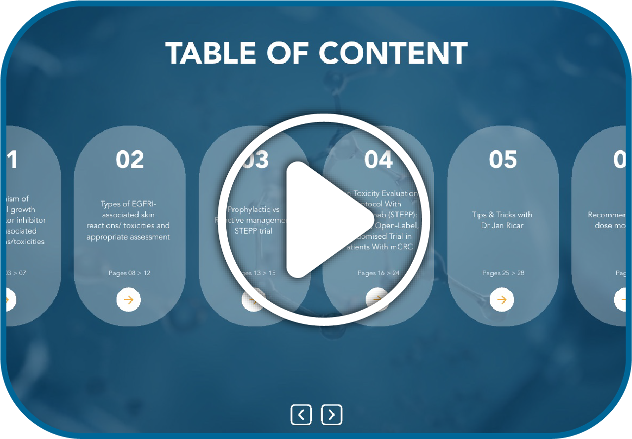 Interactive Presentation Preview